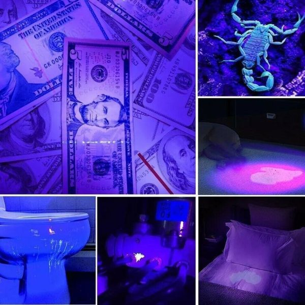 Multifunctional Counterfeit Detector UV LED Flashlight - Image 5