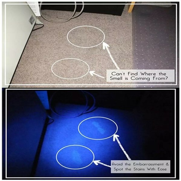 Multifunctional Counterfeit Detector UV LED Flashlight - Image 2