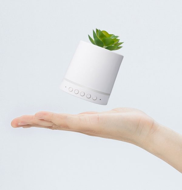 Bluetooth Audio Out Wireless Portable Succulent Plant Light - Image 4
