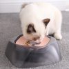 Pet Dog Bowl Floating Not Wetting Mouth Cat Bowl No Spill Drinking Water Feeder - Image 4