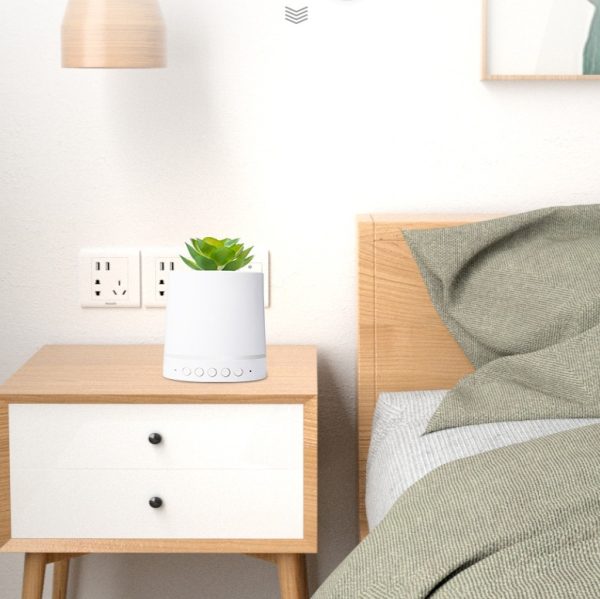 Bluetooth Audio Out Wireless Portable Succulent Plant Light - Image 5