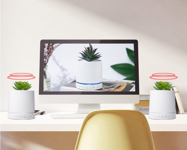Bluetooth Audio Out Wireless Portable Succulent Plant Light - Image 2